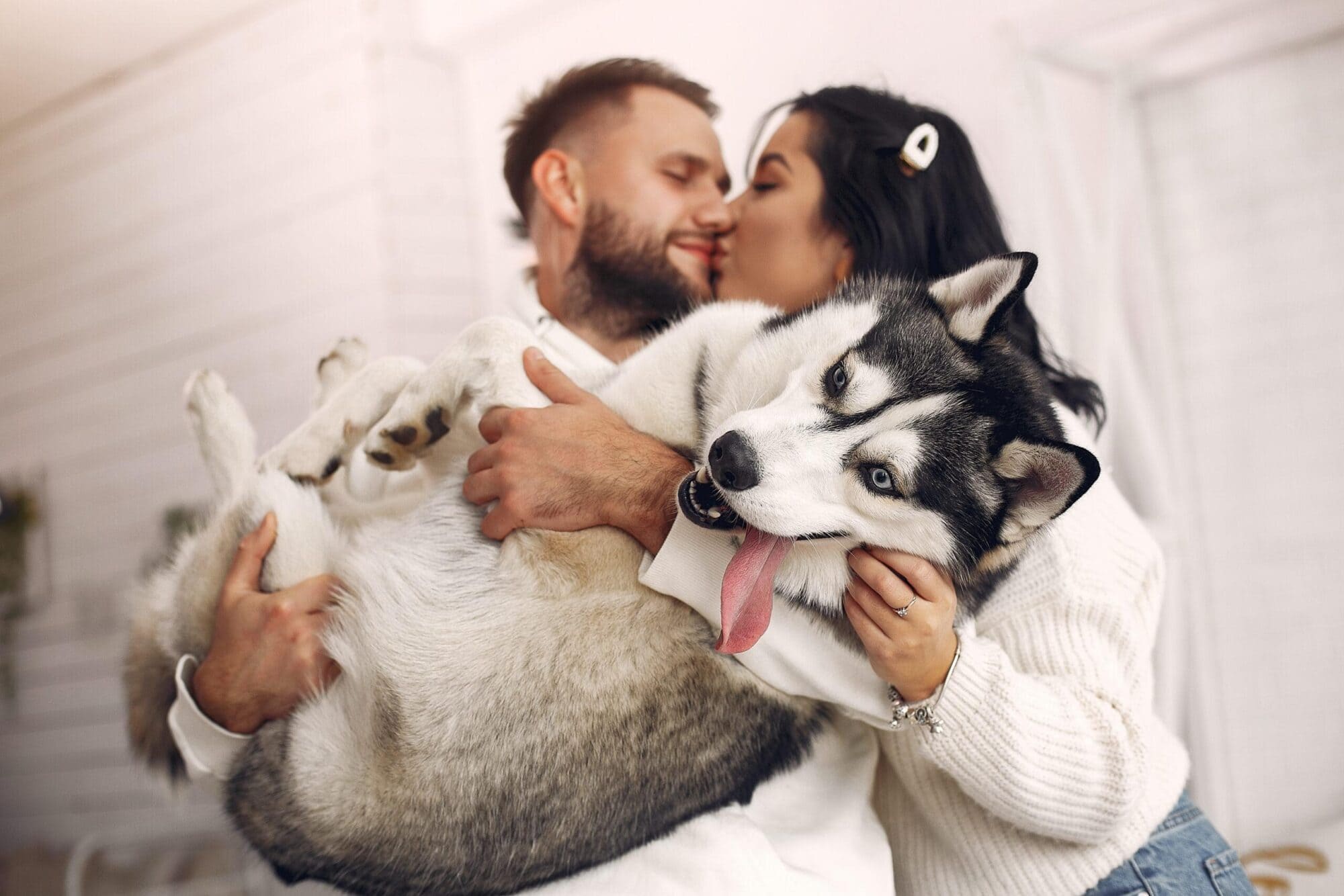 Mascotas en tu boda | Wink Eventos