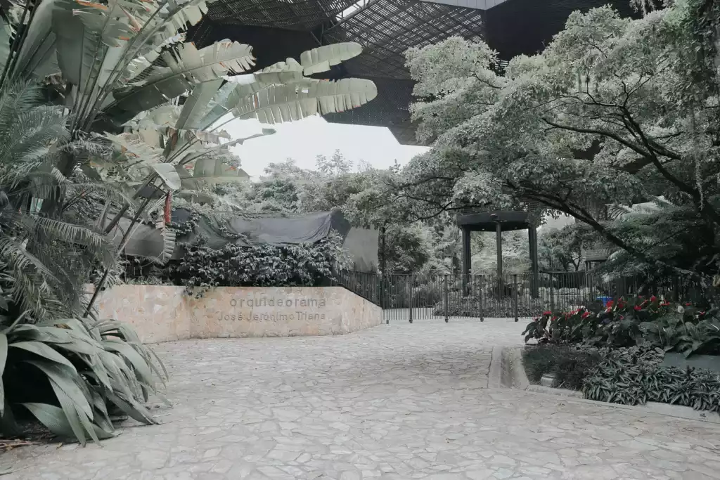 Organización de eventos en el Jardíin Botánico de Medellín | Wink Eventos